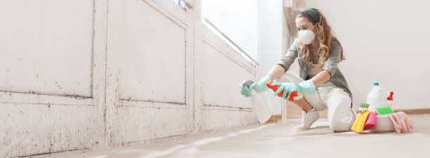 Mold Documentation for Insurance Claims in Bushyhead, OK